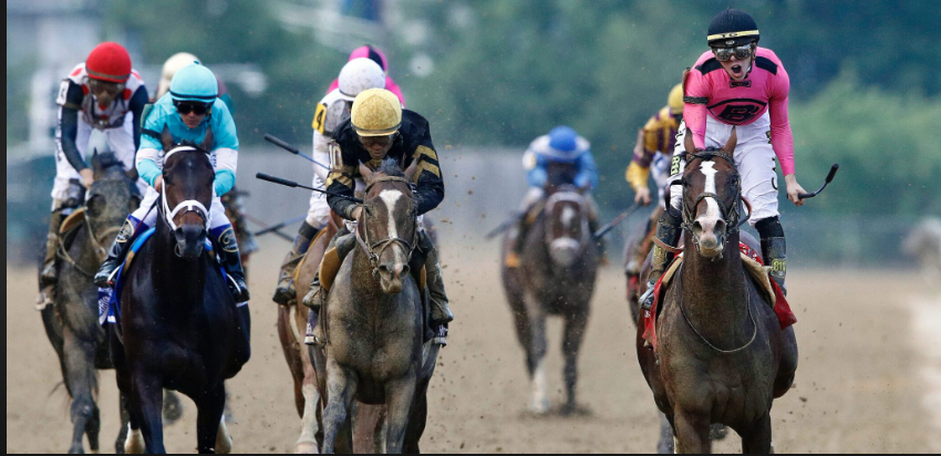 Journalism Wins 2025 Preakness Stakes with Thrilling Late Surge
