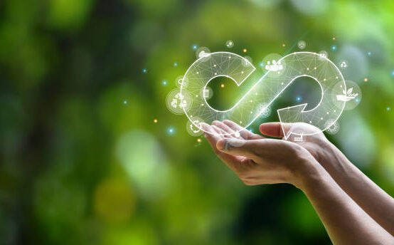 Circular Economy Explained: How It Benefits You