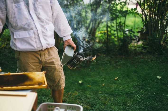 Best Sustainable Fashion Brands for Everyday Wear in 2025