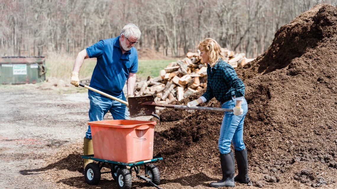 Sustaibale Lifestyle Practices