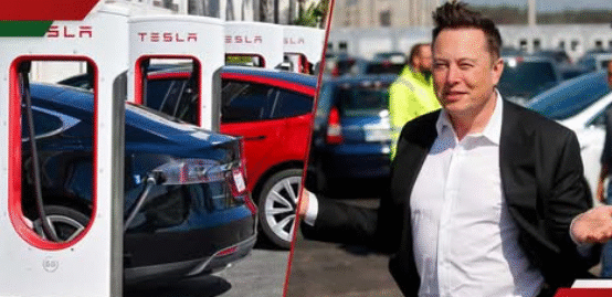 Tesla Opens First Office in Africa with $2.75M Investment