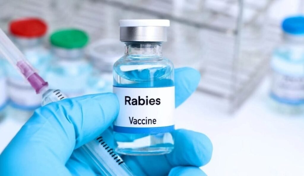 National Institute of Health develops affordable rabies vaccine in Pakistan