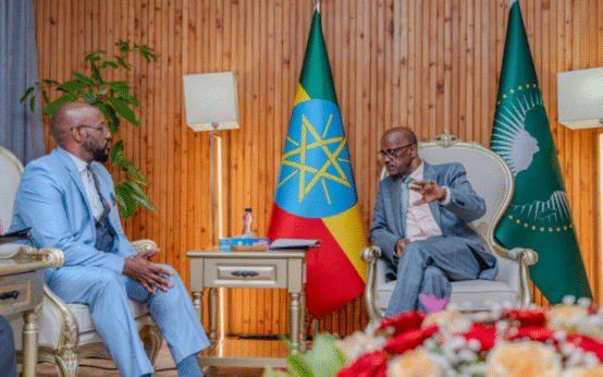 Ethiopian State Minister Hadera Holds Talks with US Ambassador