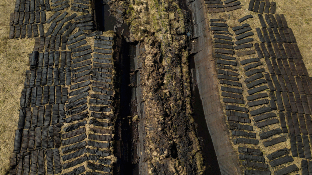 Agriculture and Industry Driving Destruction