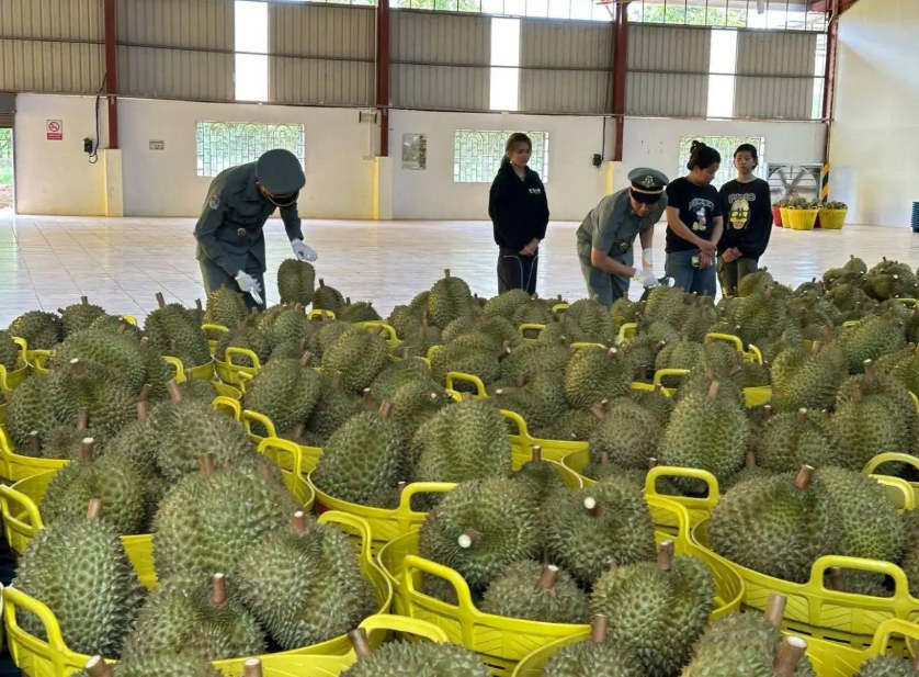 Historic Export from Sihanoukville to Shenzhen