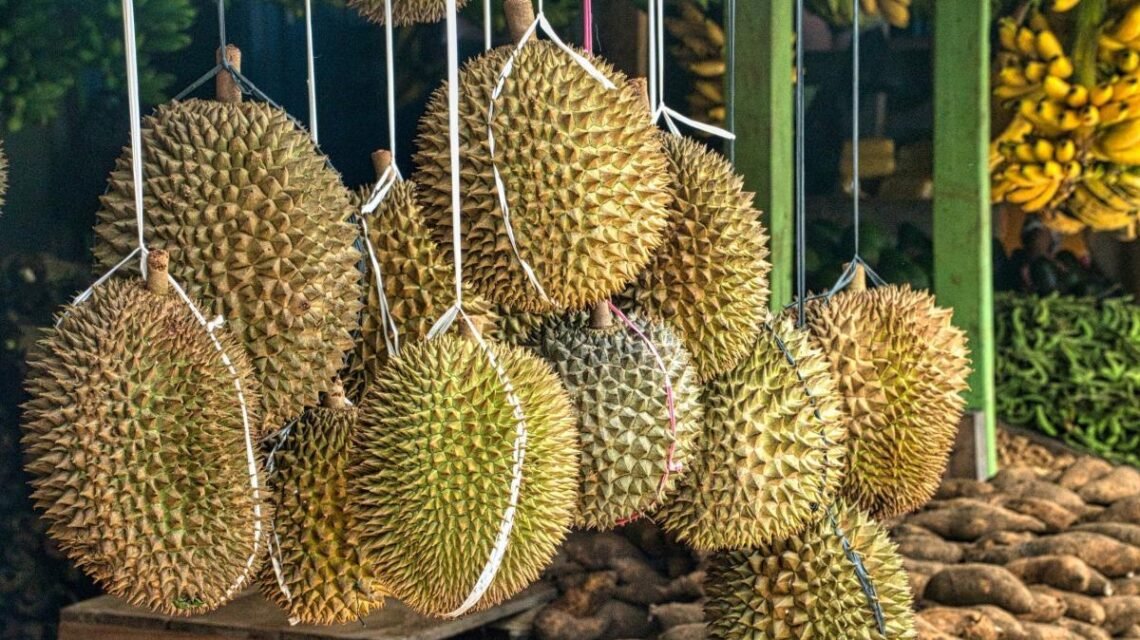 Cambodia Sends Its First Fresh Durian Shipment to China