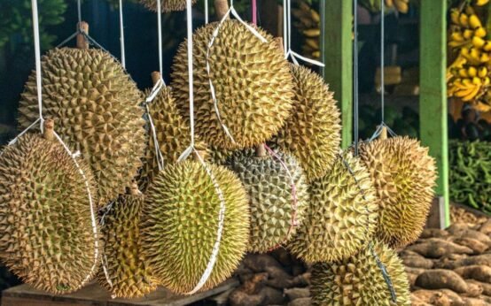 Cambodia Sends Its First Fresh Durian Shipment to China