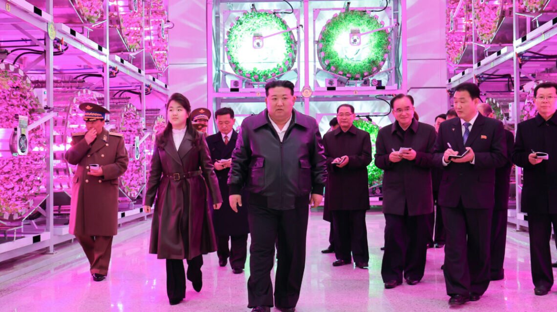 N. Korea quickly building large-scale greenhouse farm at border