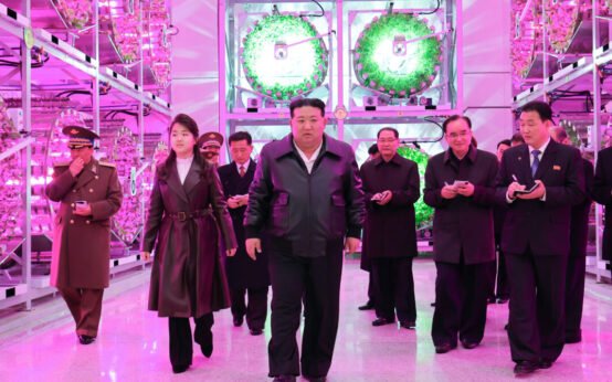 N. Korea quickly building large-scale greenhouse farm at border