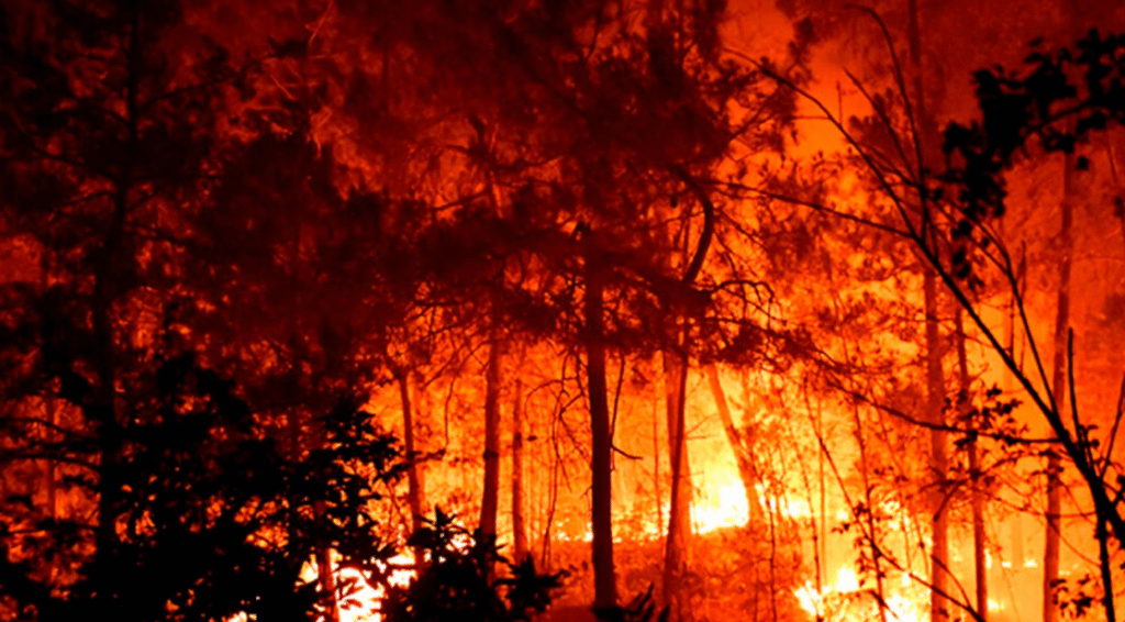 Strong winds make firefighting efforts more difficult