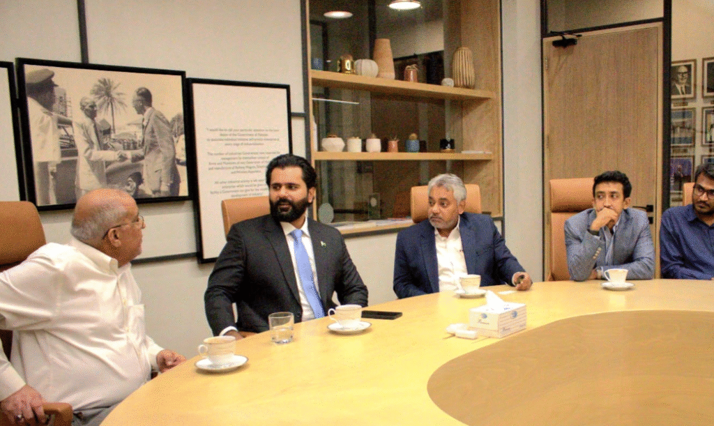 Public-Private Partnerships for Development