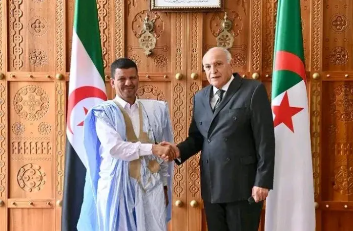 Importance of UN Mediation in the Western Sahara Dispute