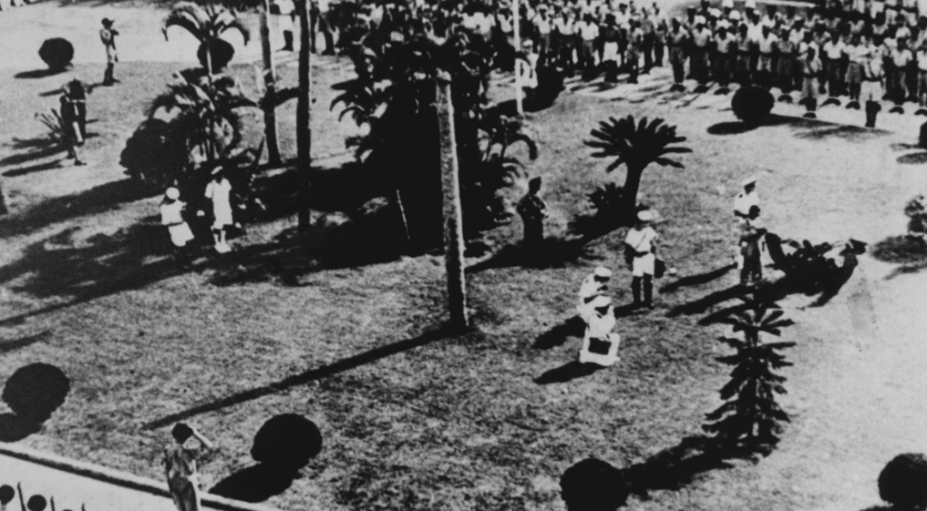 Survivor Stories That Carry Pain and Strength japanese hongkong