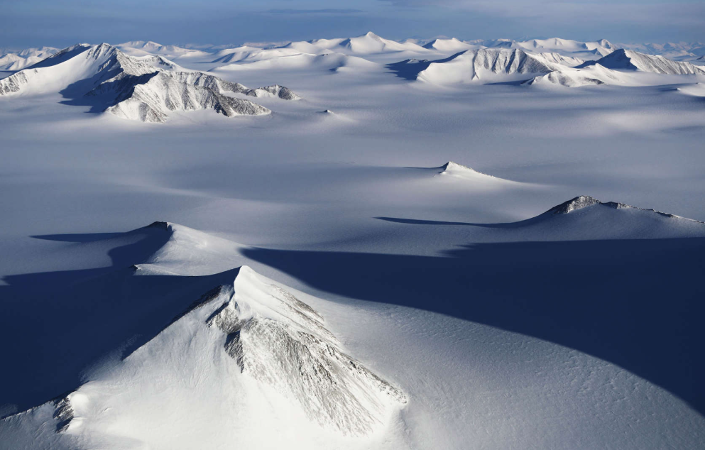 artic cold rush