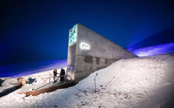 How the Arctic Seed Vault in Svalbard Could Help Save Humanity