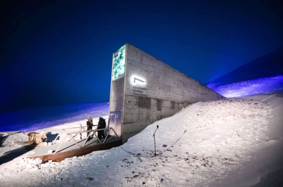 How the Arctic Seed Vault in Svalbard Could Help Save Humanity