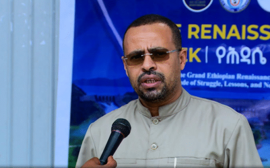 Ethiopia’s GERD Diplomacy Inspires African Nations