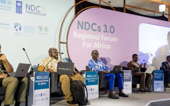 Access to Climate Finance Remains Priority for Africa