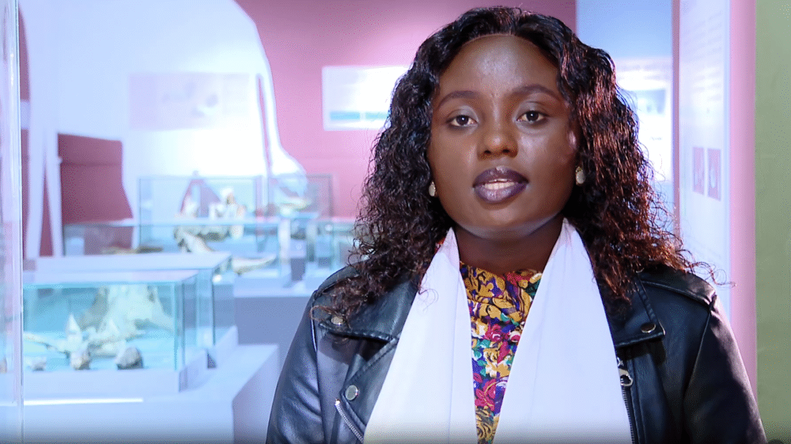 African Journalists Admire Addis Ababa’s Infrastructure Growth