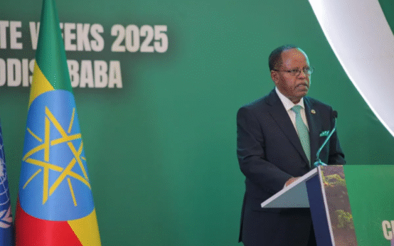 Ethiopia, UN Urge COP30 to Deliver for Africa's Climate Ambitions