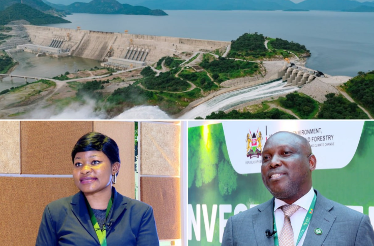 What GERD Means for African-Financed Mega Projects