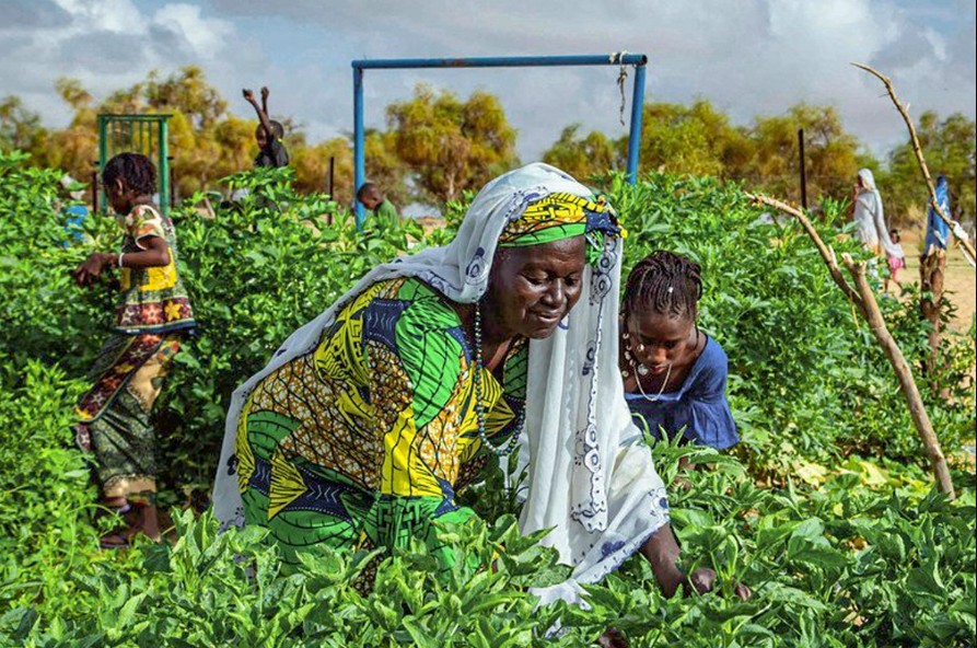 Economic and Social Benefits for Millions Powering Growth