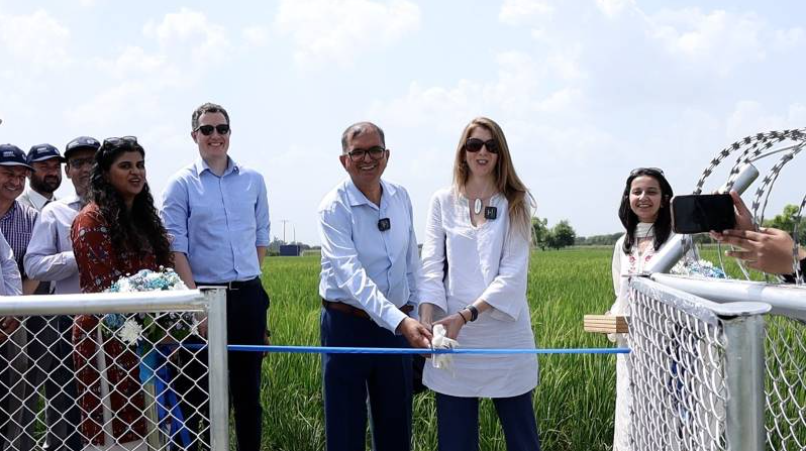 How Real-Time Soil Moisture Sensors Help Farmers Save Water and Money