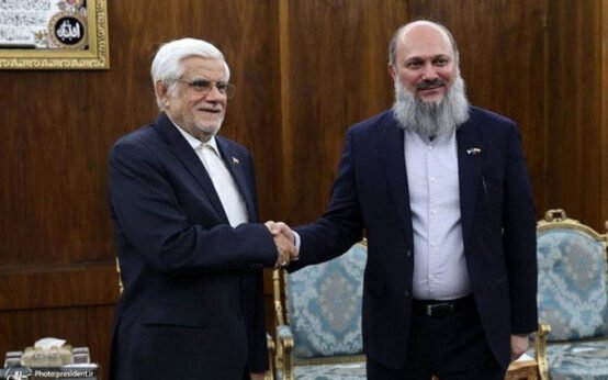 Pakistani Commerce Minister Meets With Iran’s Vice President