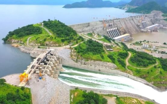 African Self-Reliance and Regional Power Integration