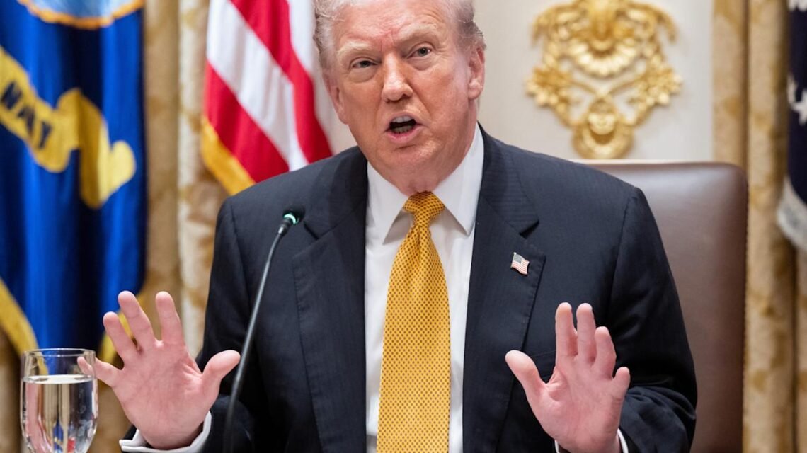 Trump Campaign Tariff Plan with $2,000 Middle-Class Dividend