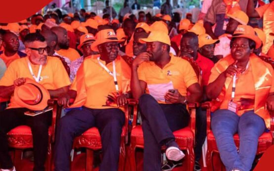 Oburu Oginga’s new leadership role reshapes ODM’s political direction