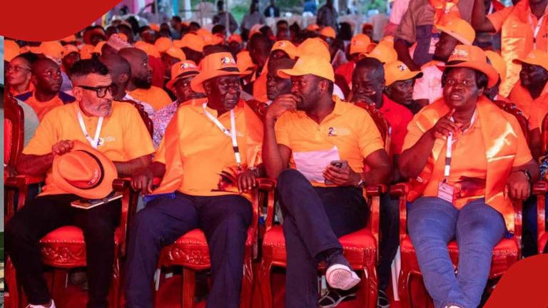 Oburu Oginga’s new leadership role reshapes ODM’s political direction