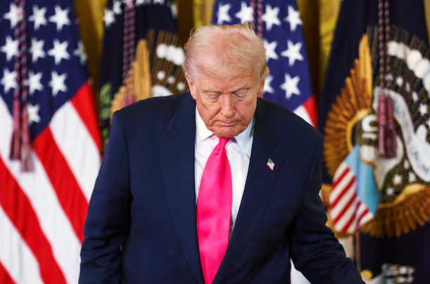 Tariff Reduction on Coffee Imports Brings Relief to Global Market