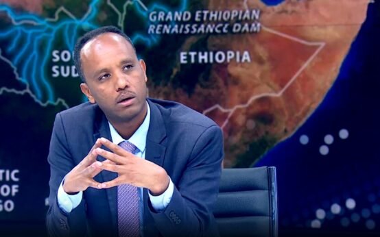 Ethiopia Highlights How Red Sea Access Could Strengthen Regional Peace and Stability