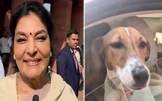 Renuka Chowdhury’s dog row deepens as she mimics barking privilege motion looms