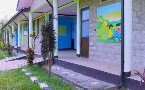 Ethiopia Expands Early Childhood Education Nationwide with Major Investments