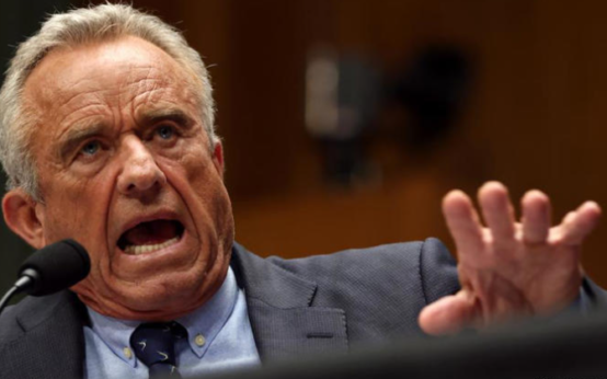 German Health Minister Rejects Robert F. Kennedy Jr.'s COVID Claims