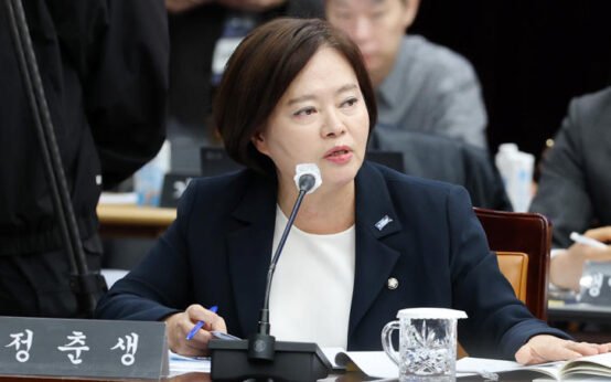 Rebuilding Korea Party Demands Democratic Withdrawal in Key By-Elections